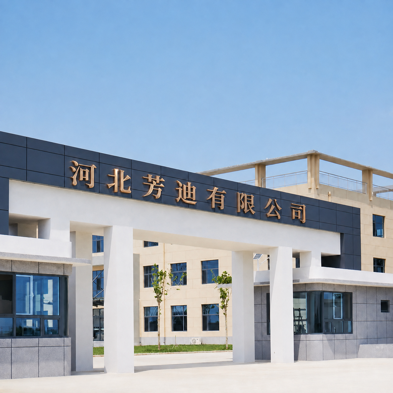 Hebei Fangdi factory building entrance